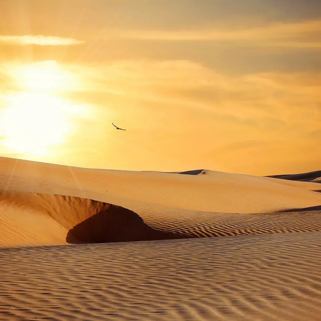 desert-790640.jpg