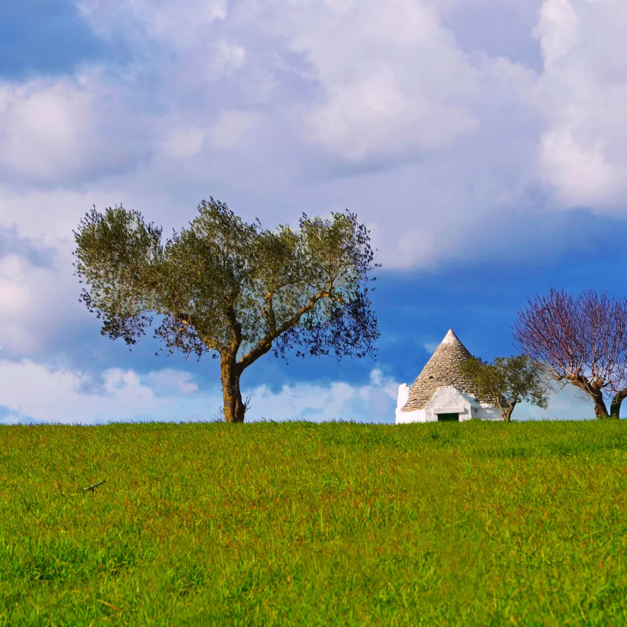 Puglia.jpg