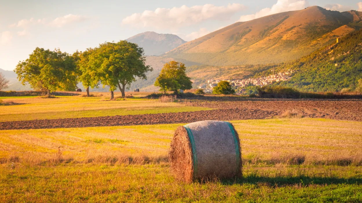 landscape-4645492-2.jpg