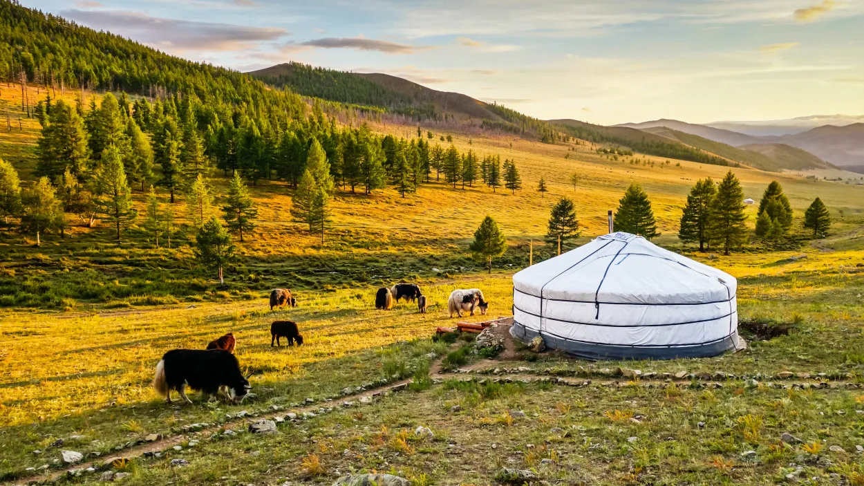 Mongolia.jpg
