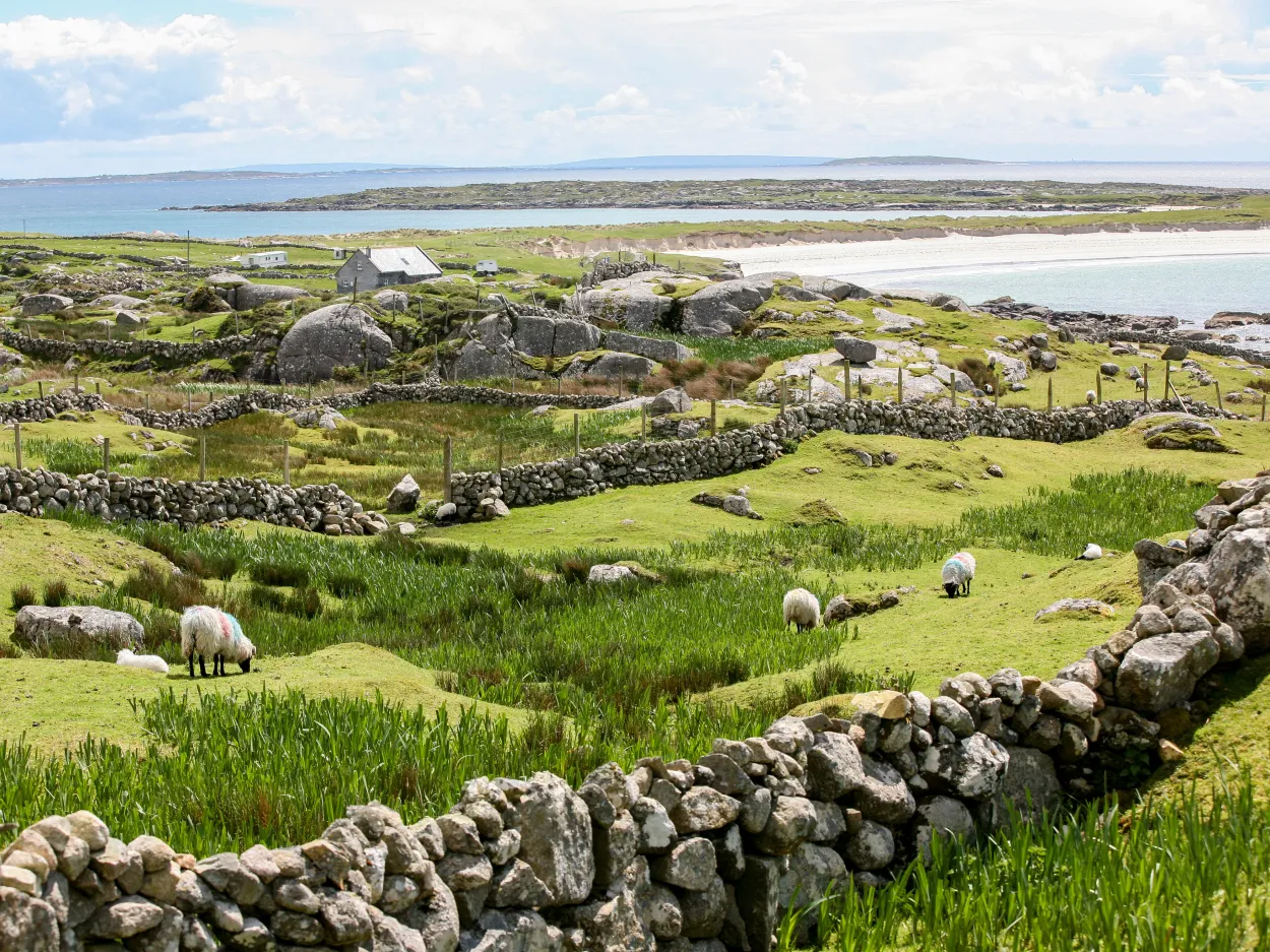 Ireland landscape.jpg