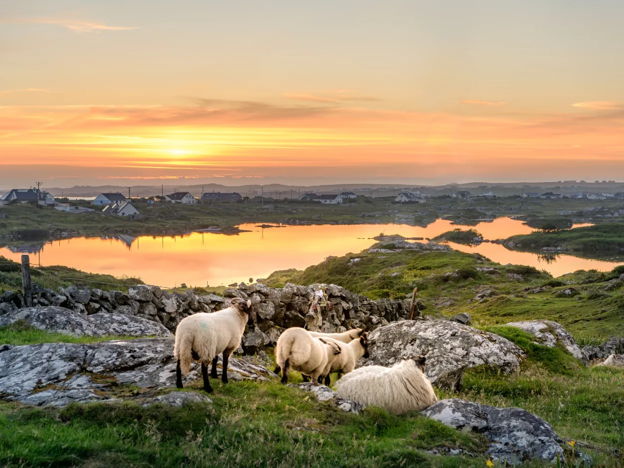 Irlanda panorama.jpg