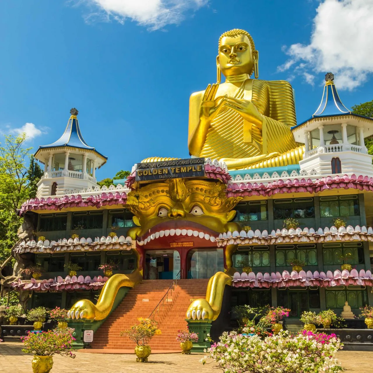 DAMBULLA small.jpg DAMBULLA small.jpg