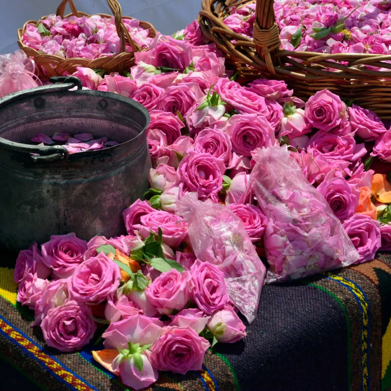 Bulgaria - festival delle rose small.jpg Bulgaria - festival delle rose small.jpg