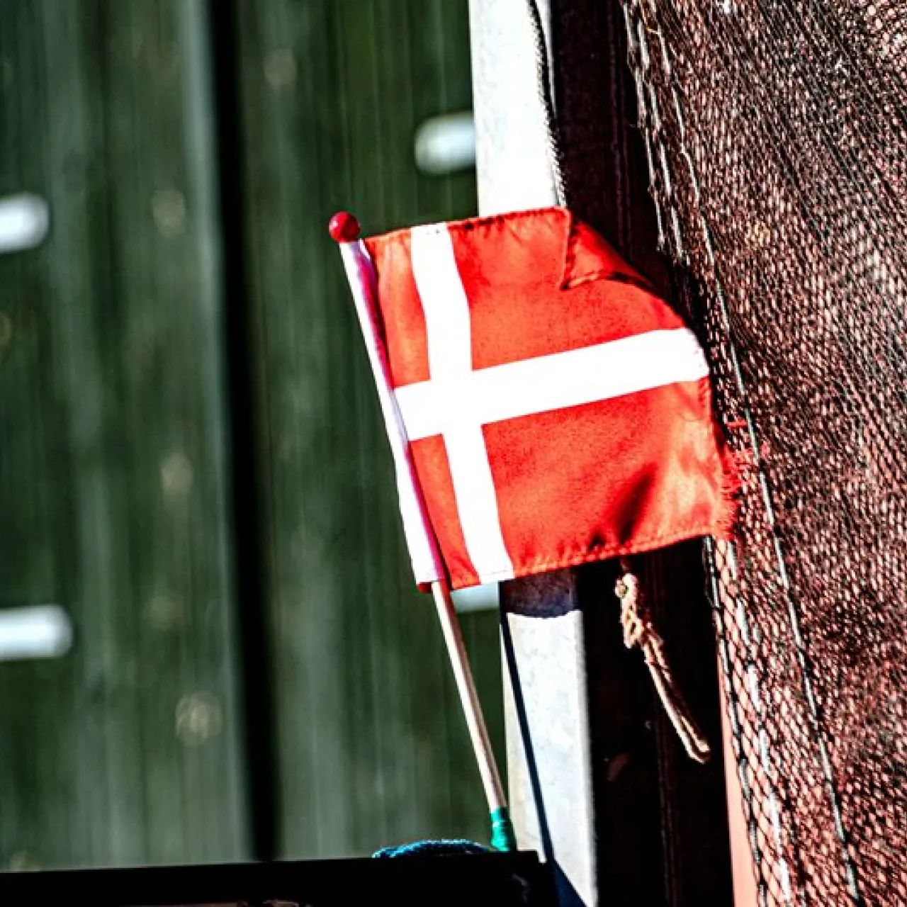 denmark flag - small.jpg
