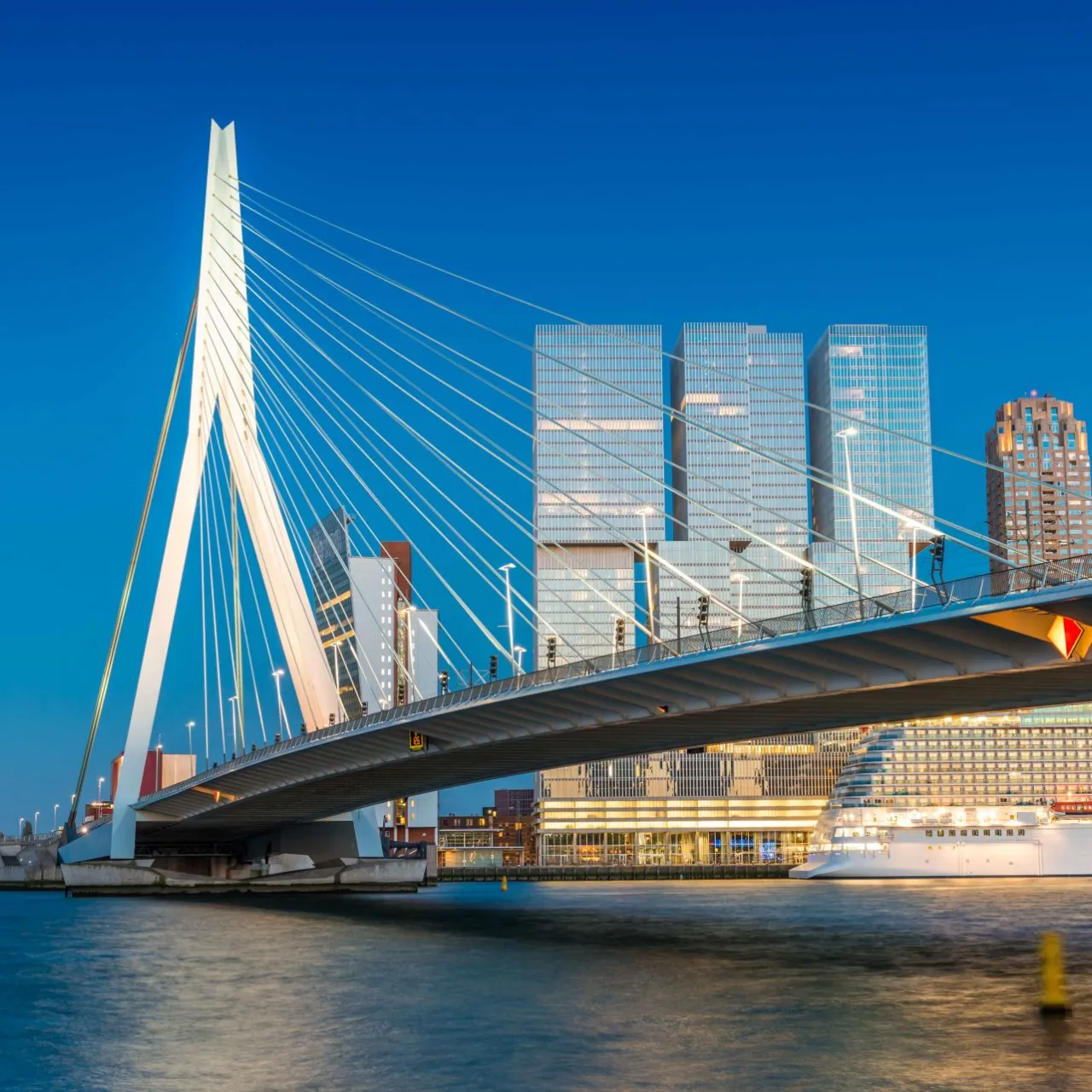 Rotterdam - Erasmusbrug ponte - Copia.jpg