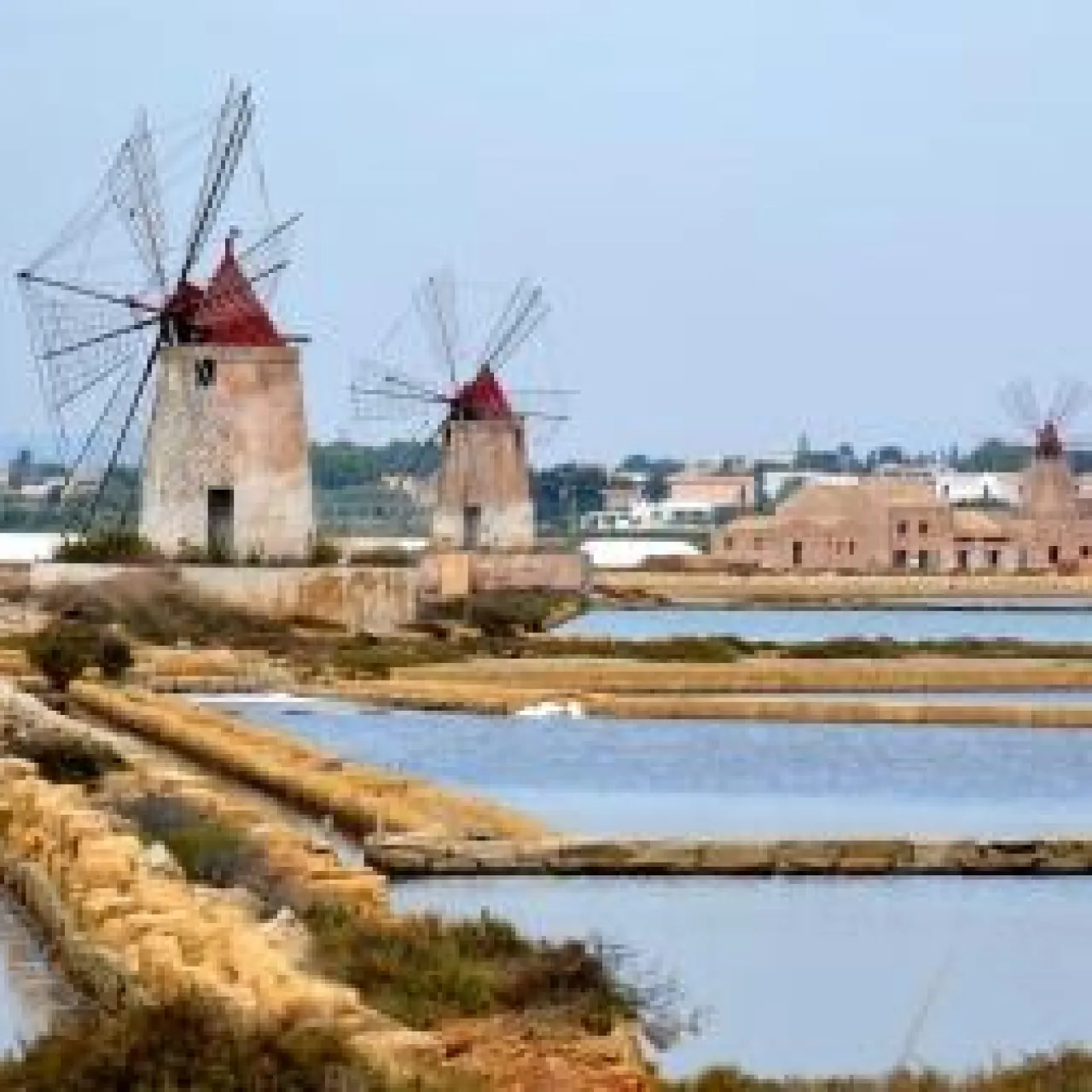 Marsala - Copia.jpg Marsala - Copia.jpg
