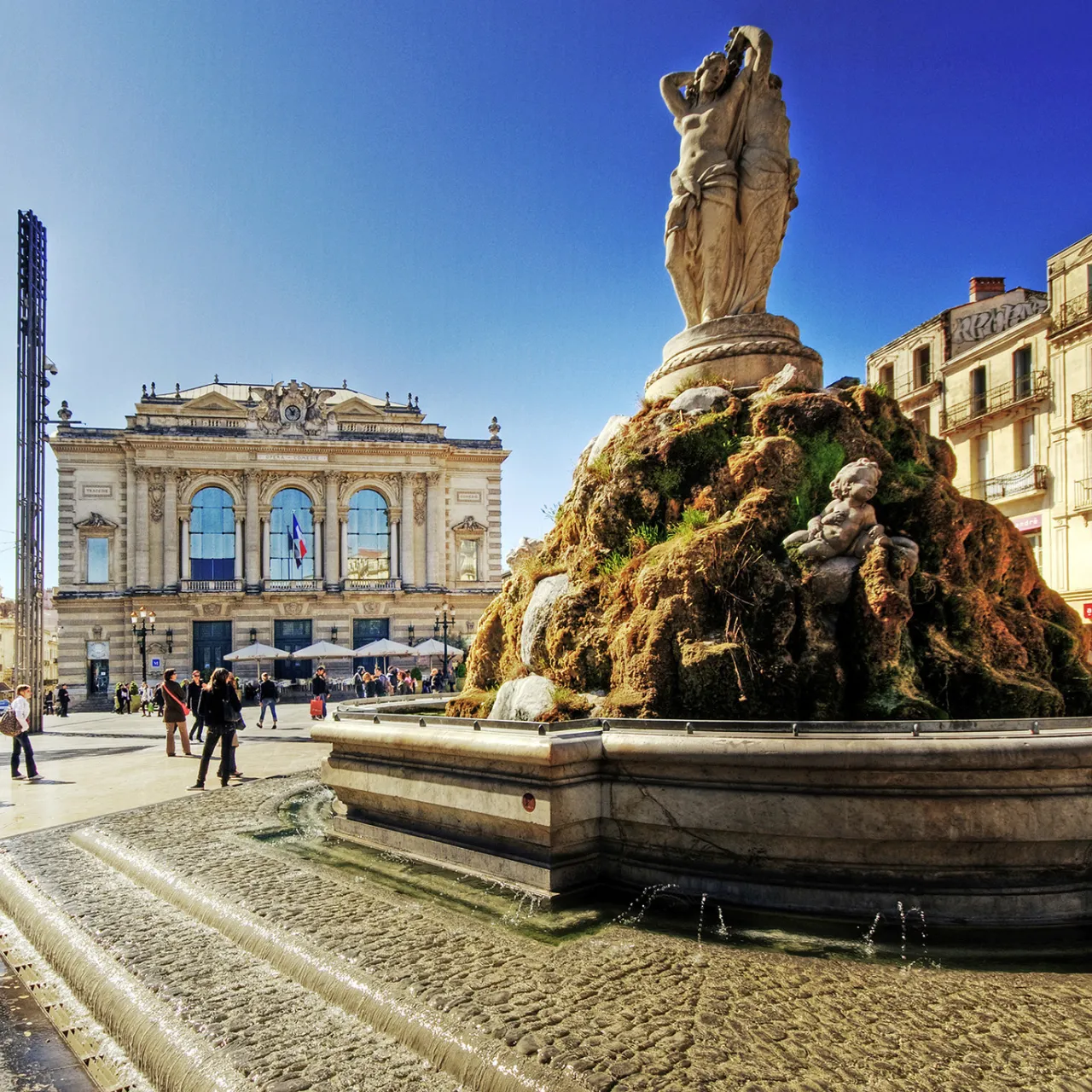montpellier.jpg montpellier.jpg