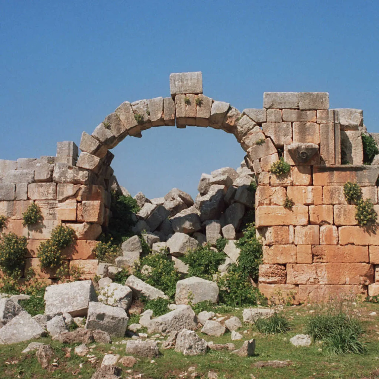 Afamia_Porta_di_Antiochia.jpg