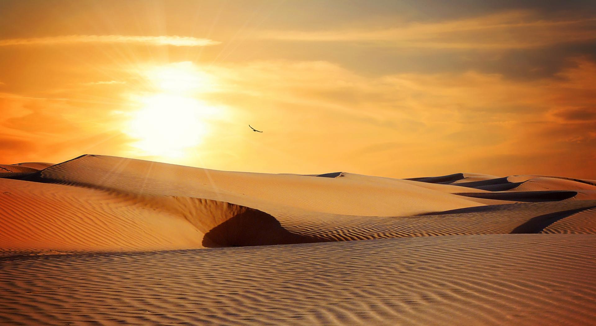 desert-790640.jpg