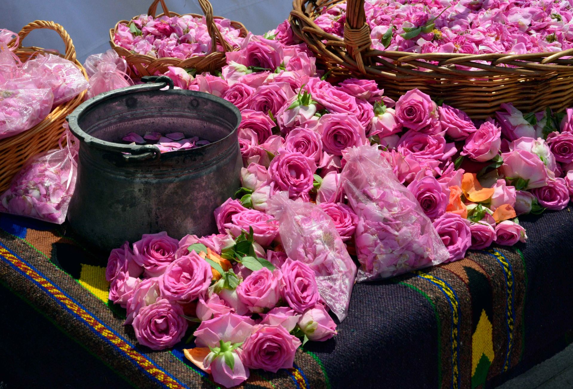 Bulgaria - festival delle rose small.jpg