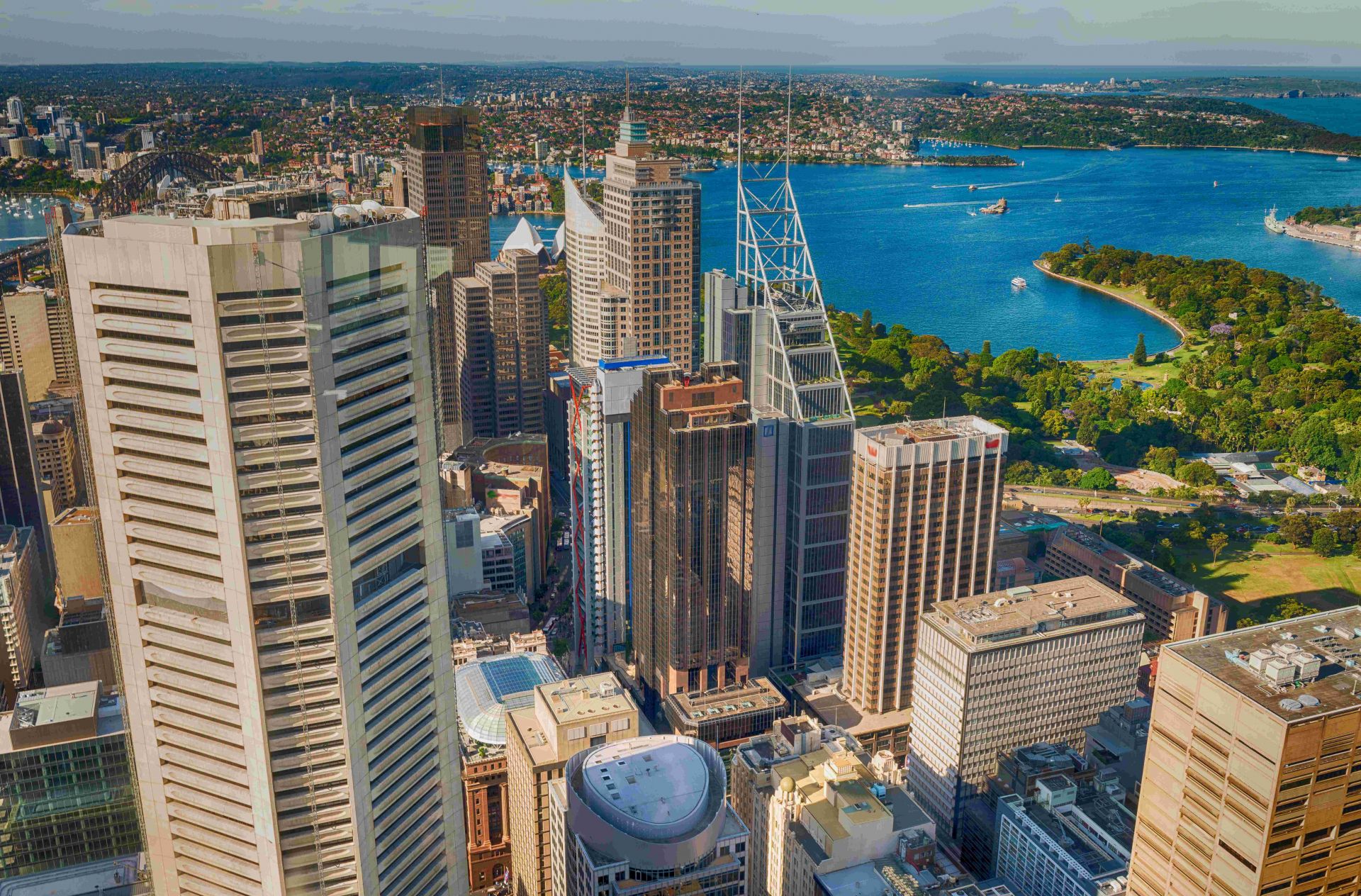 Sidney Tower Eye SMALL.jpg