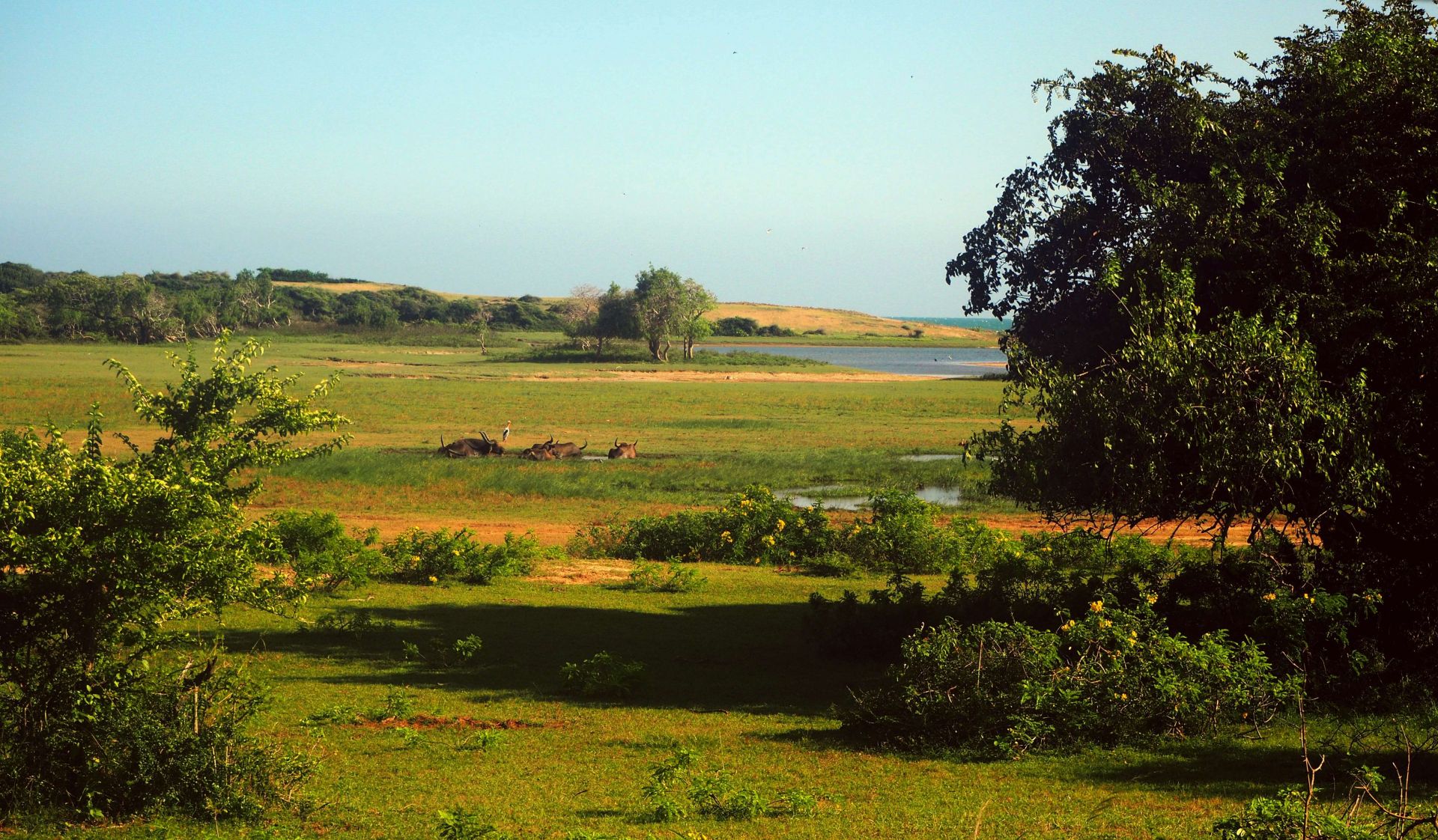 YALA SAFARI small.jpg