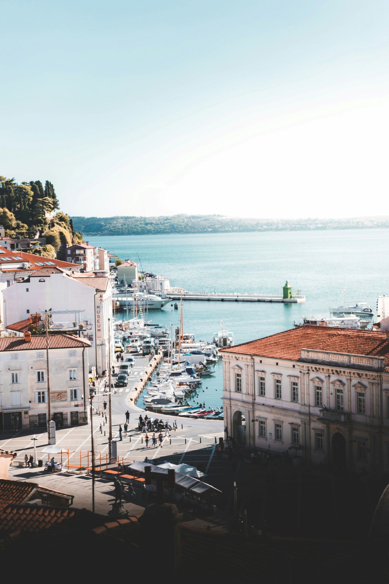 pirano vista porto.jpg