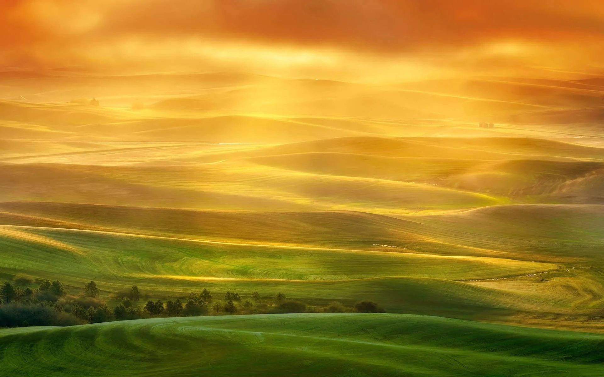 6872167-landscape