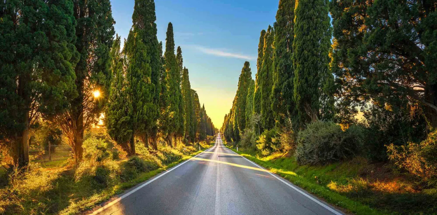 Bolgheri_viale_cipressi.jpg