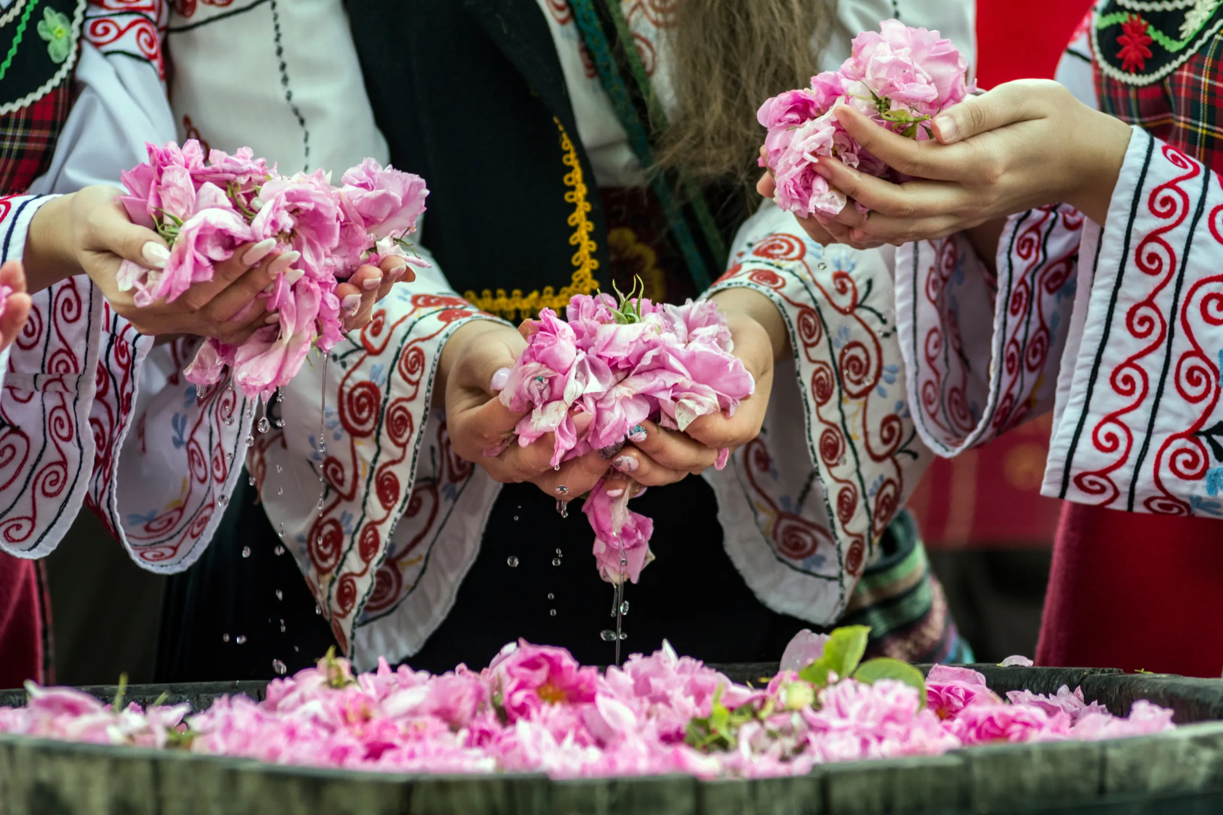 Bulgaria festival delle rose 2.jpg