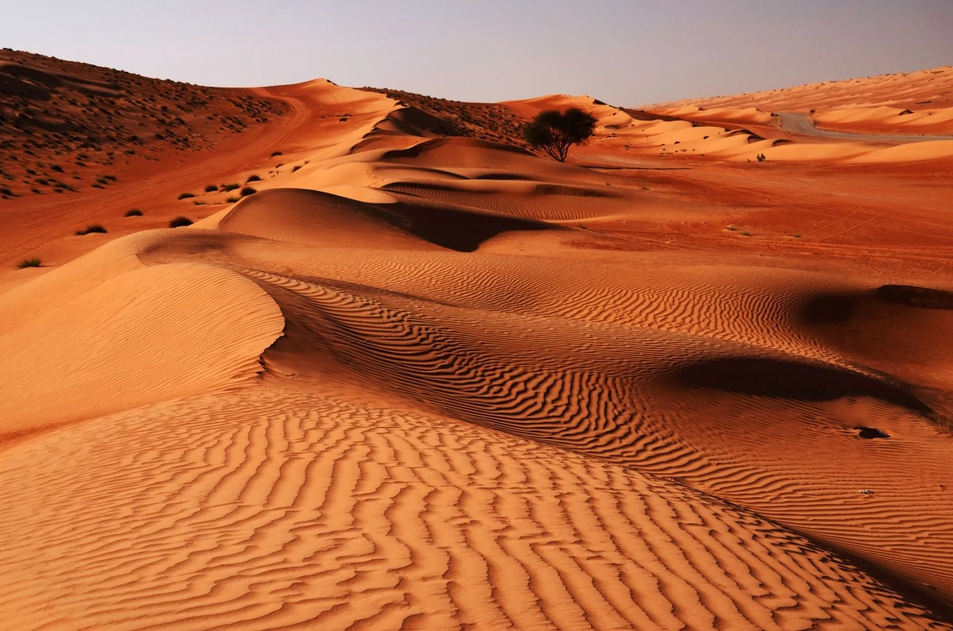 Oman Wahiba Sands.jpg