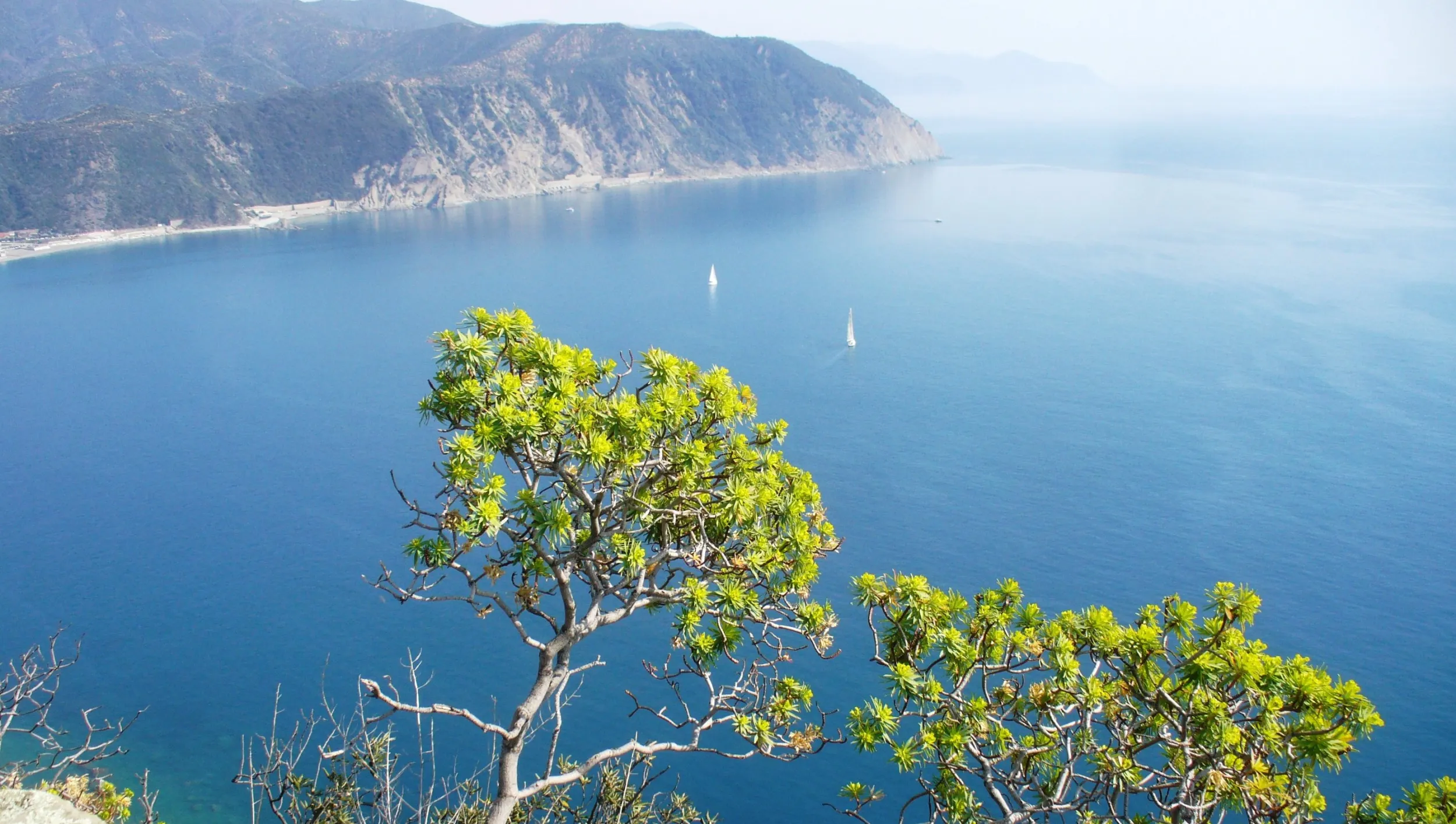 Riviera_degli_Etruschi.jpg
