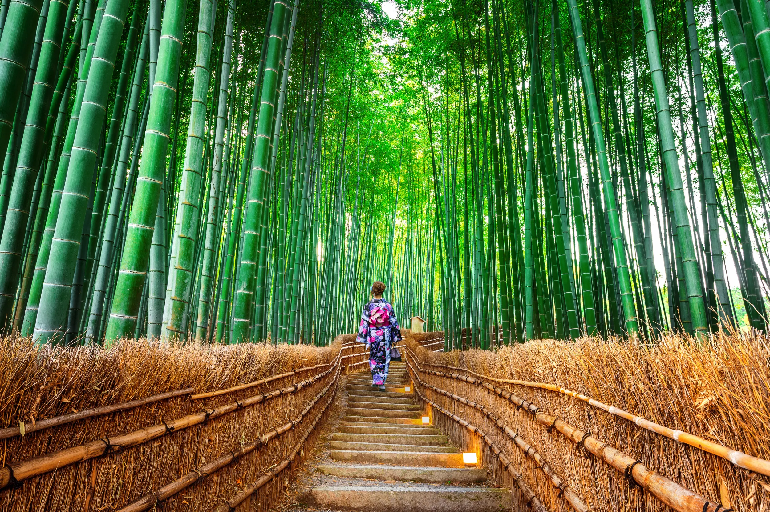 Arashiyama.jpg