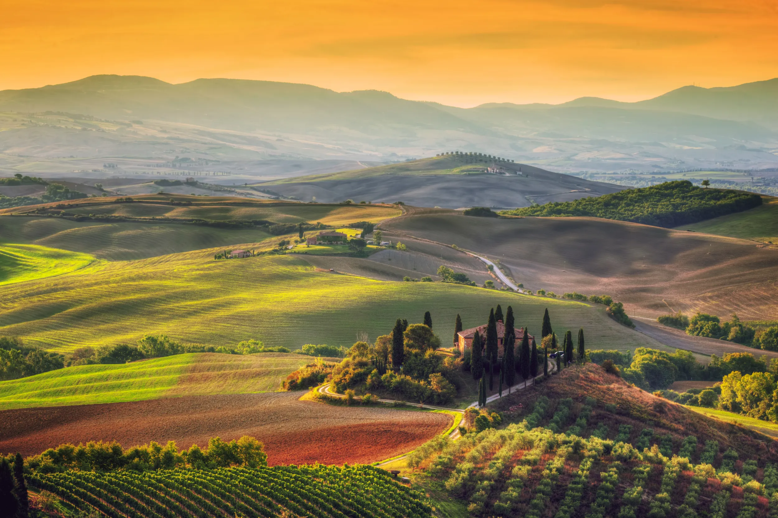 Depositphotos_87853982_xl-2015.jpg