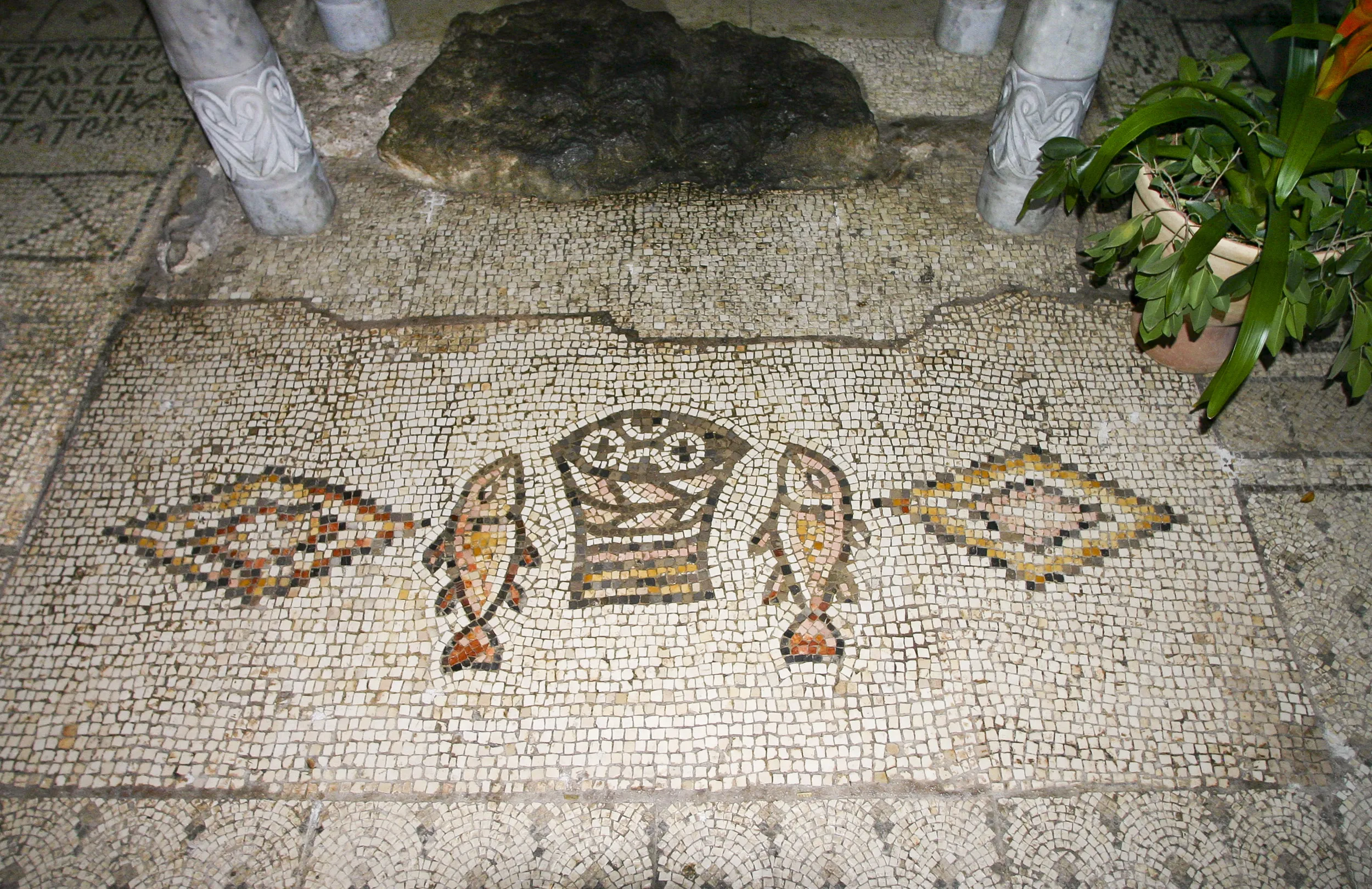 EB_800101_go_7.jpg