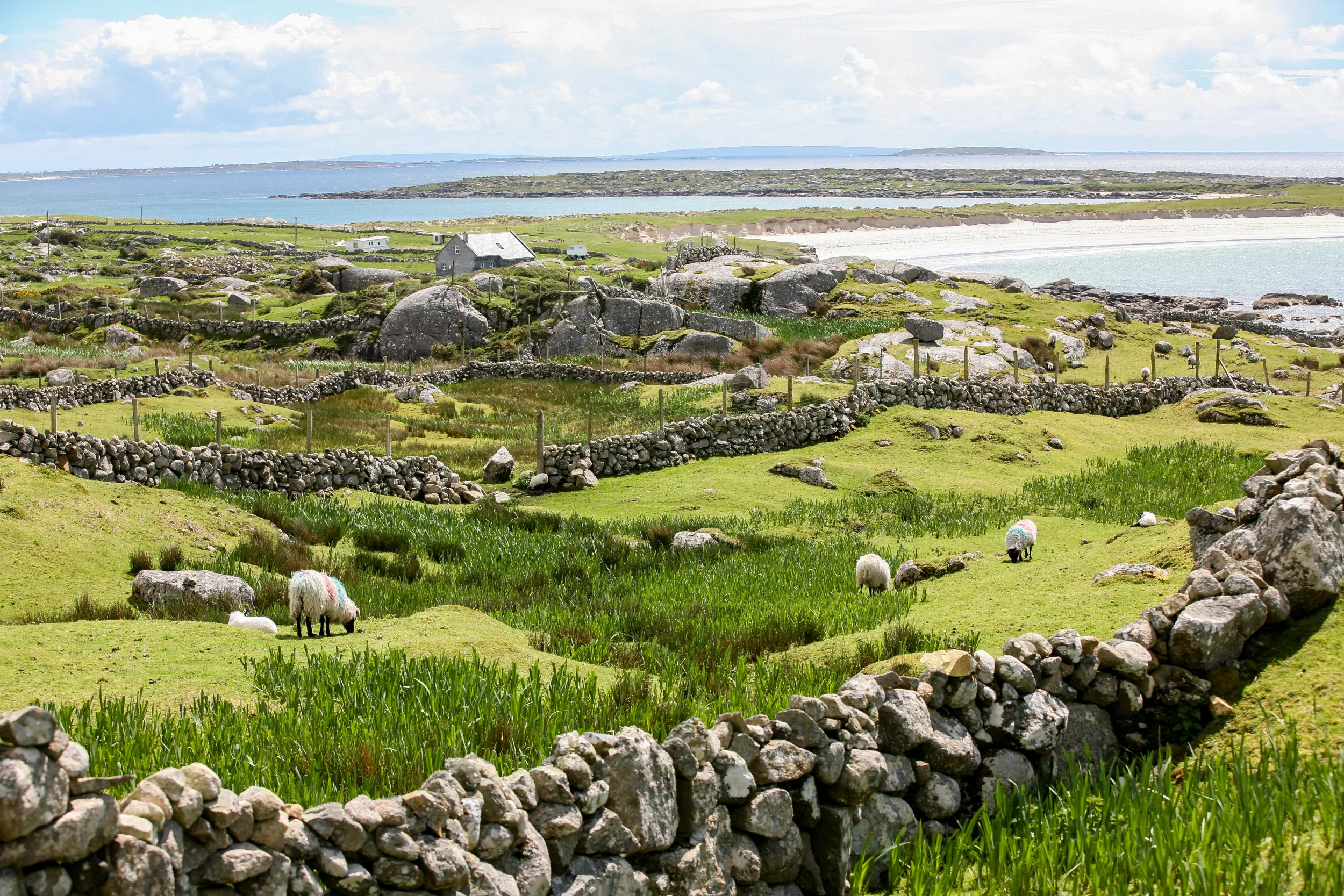 Ireland landscape.jpg