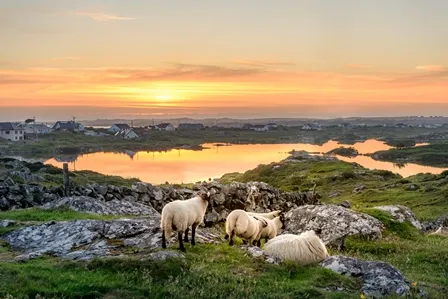 Irlanda panorama piccola.jpg