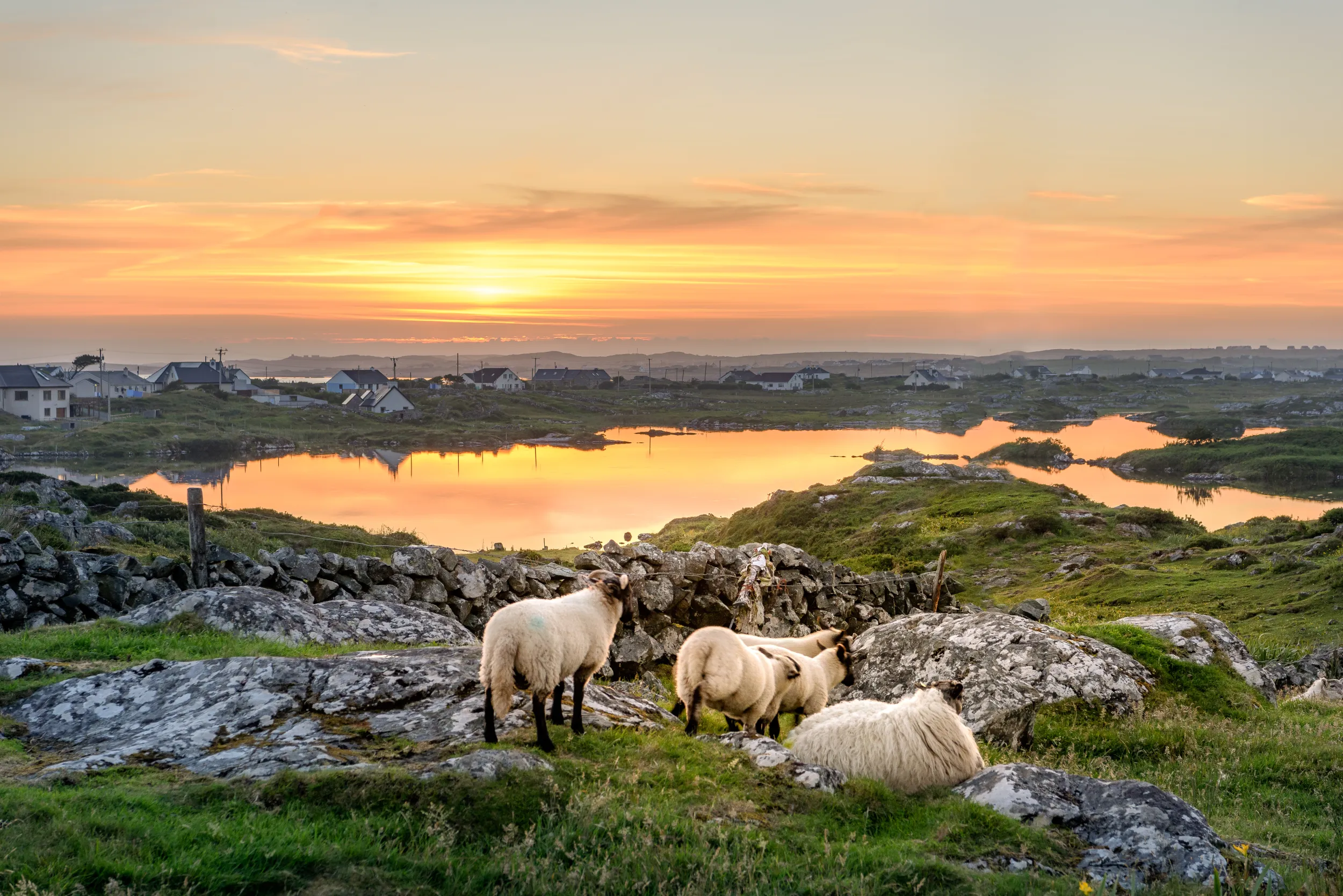 Irlanda panorama.jpg
