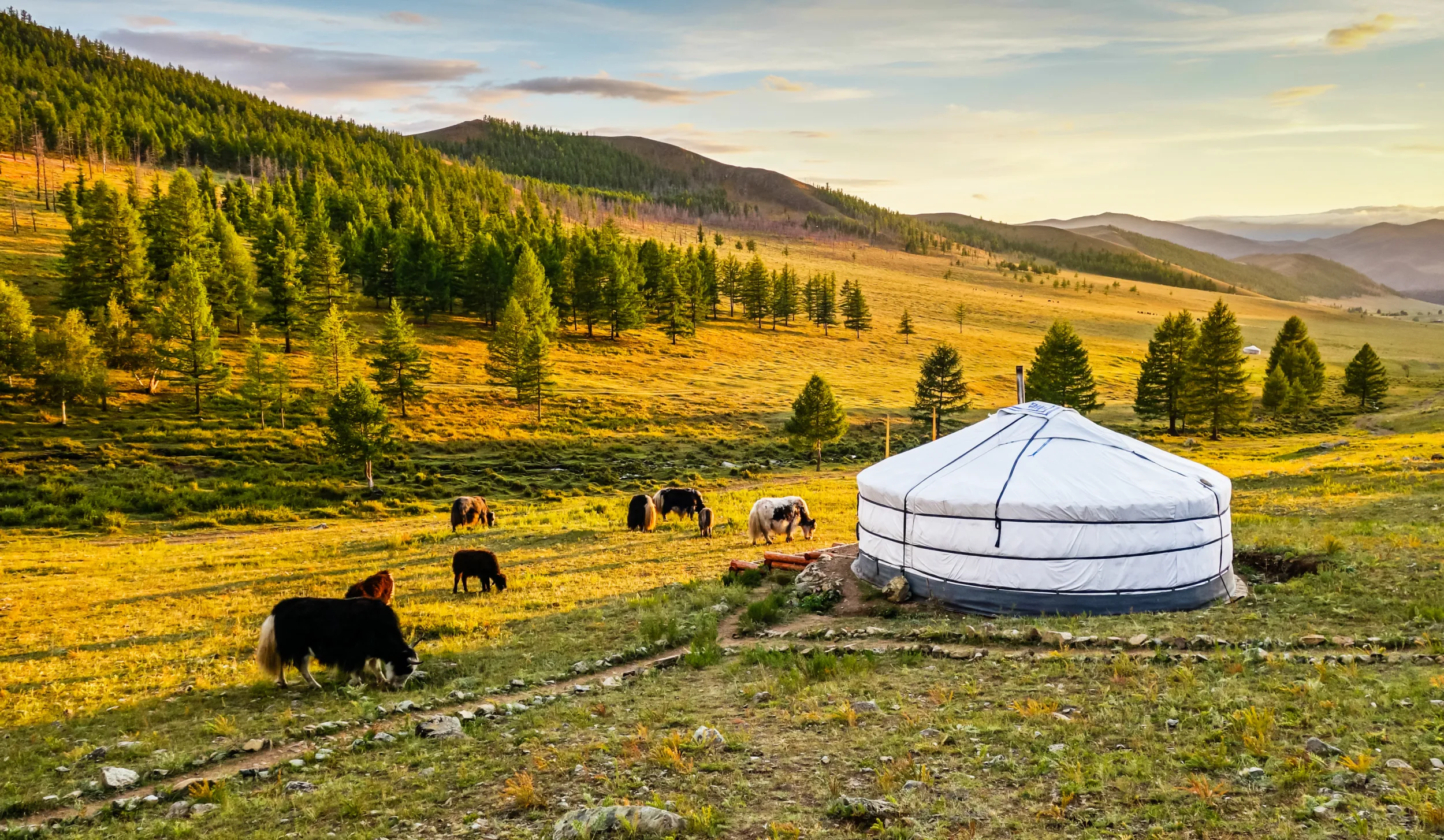 Mongolia.jpg