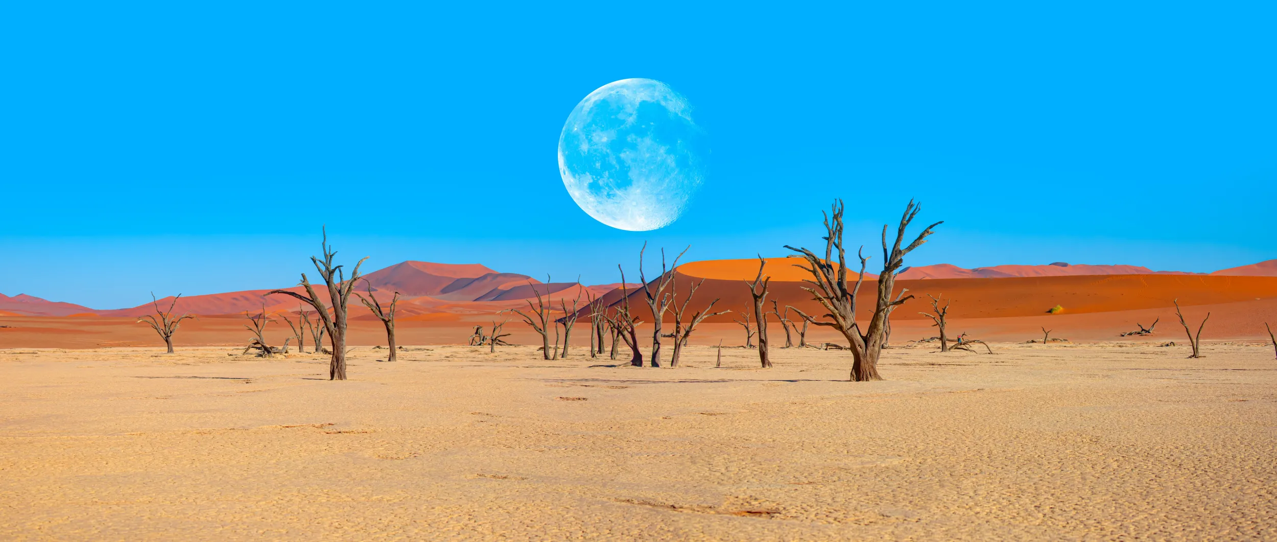 Namib Desert.jpg