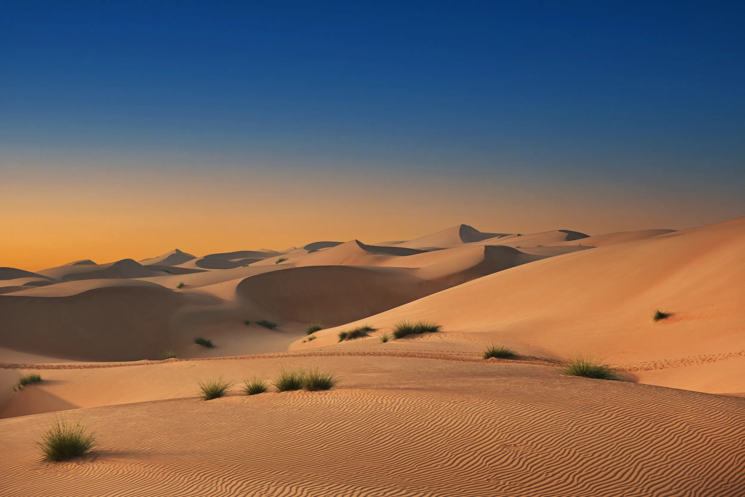 Oman Desert.jpg