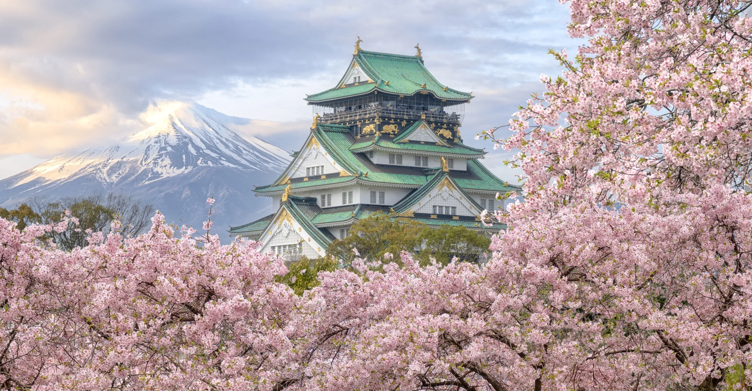 Osaka castello in primavera.jpg