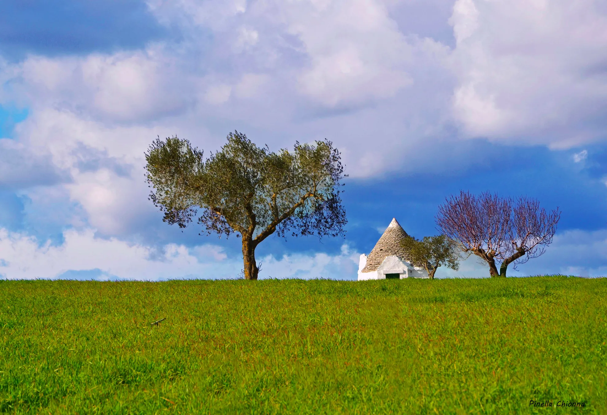 Puglia.jpg