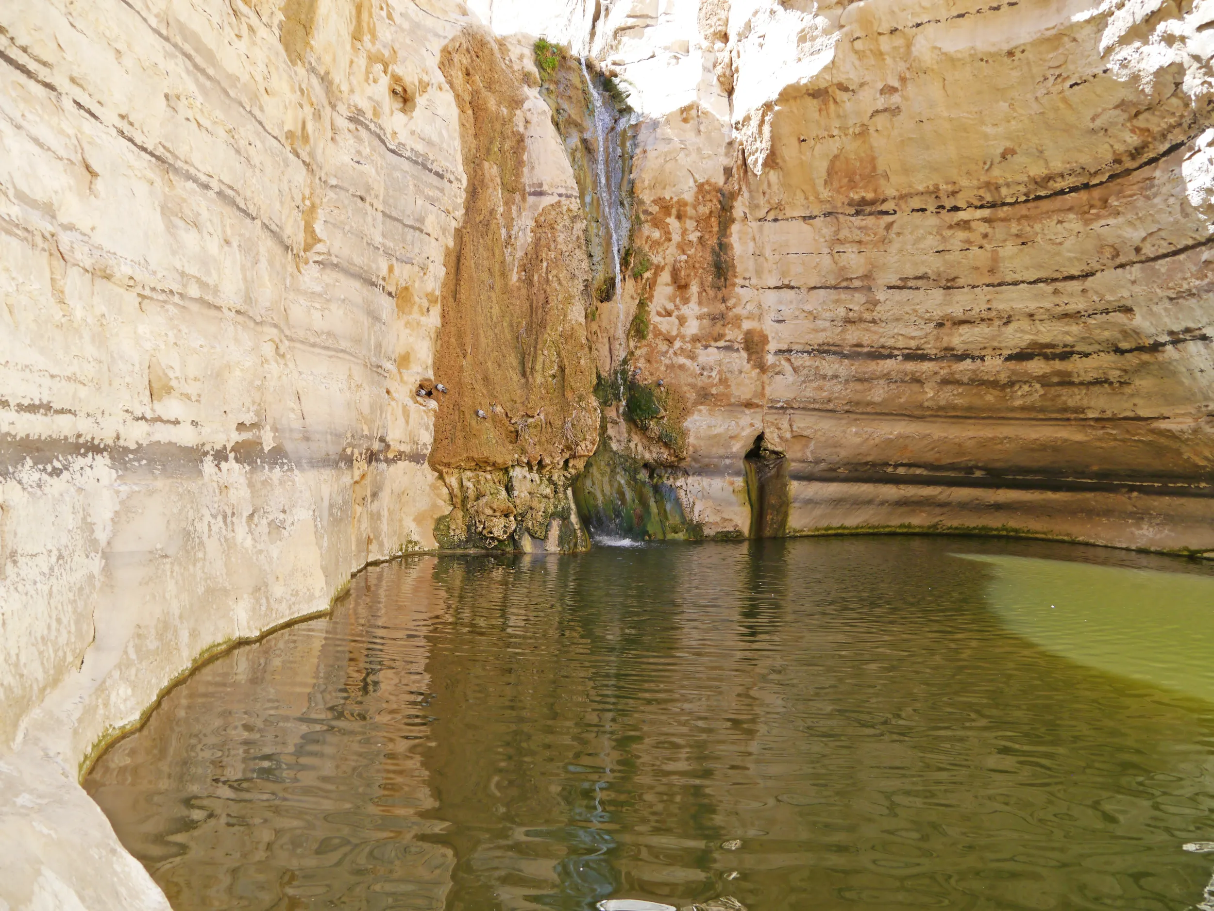 negev-1968795.jpg