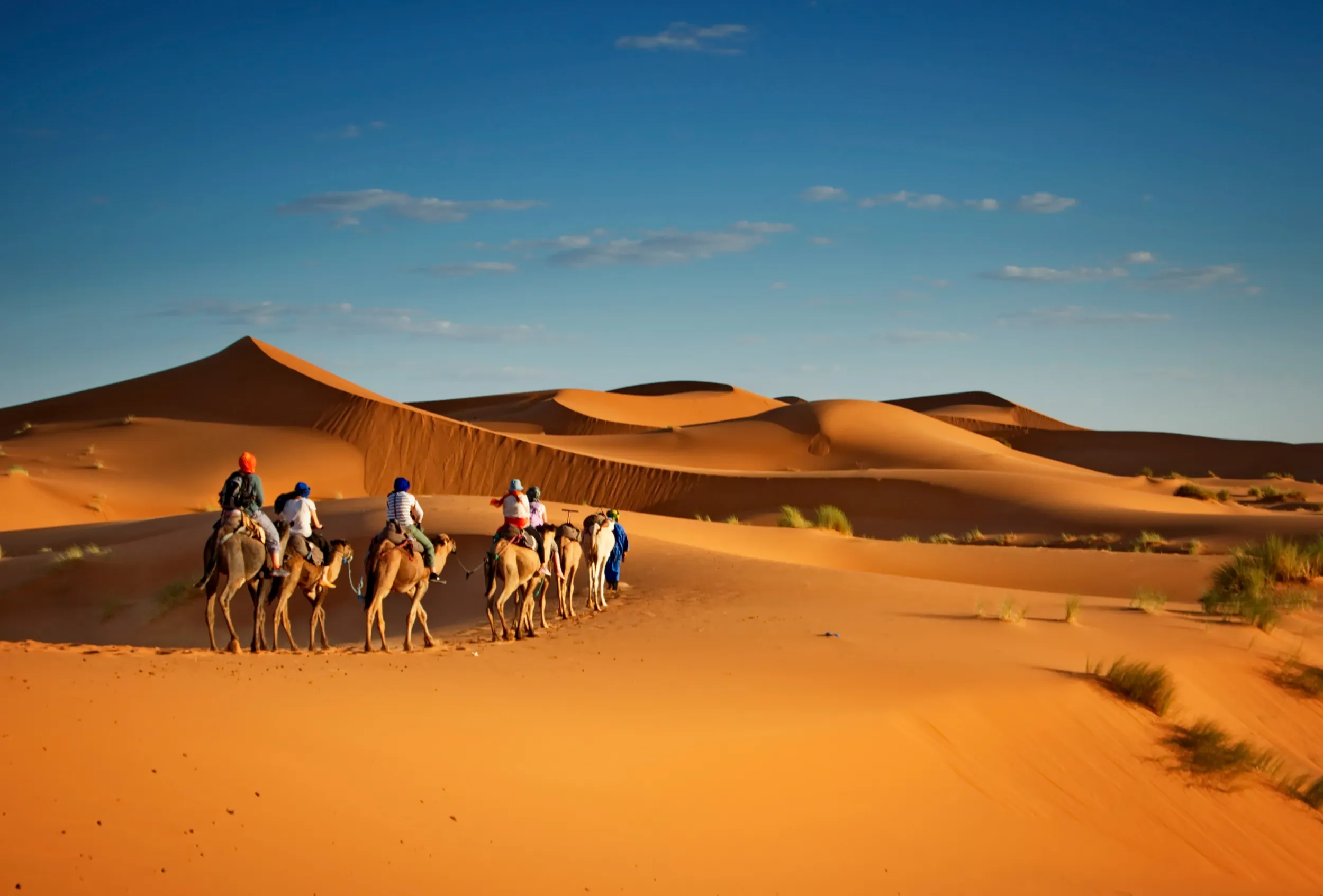 shutterstock_1060904396.jpg