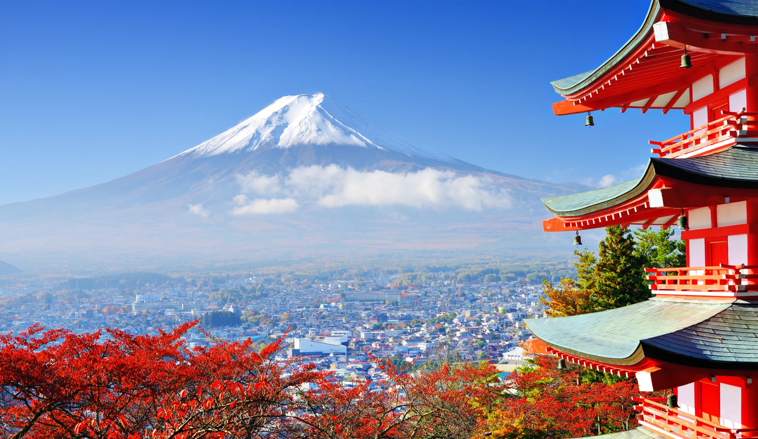 shutterstock_147744140.jpg