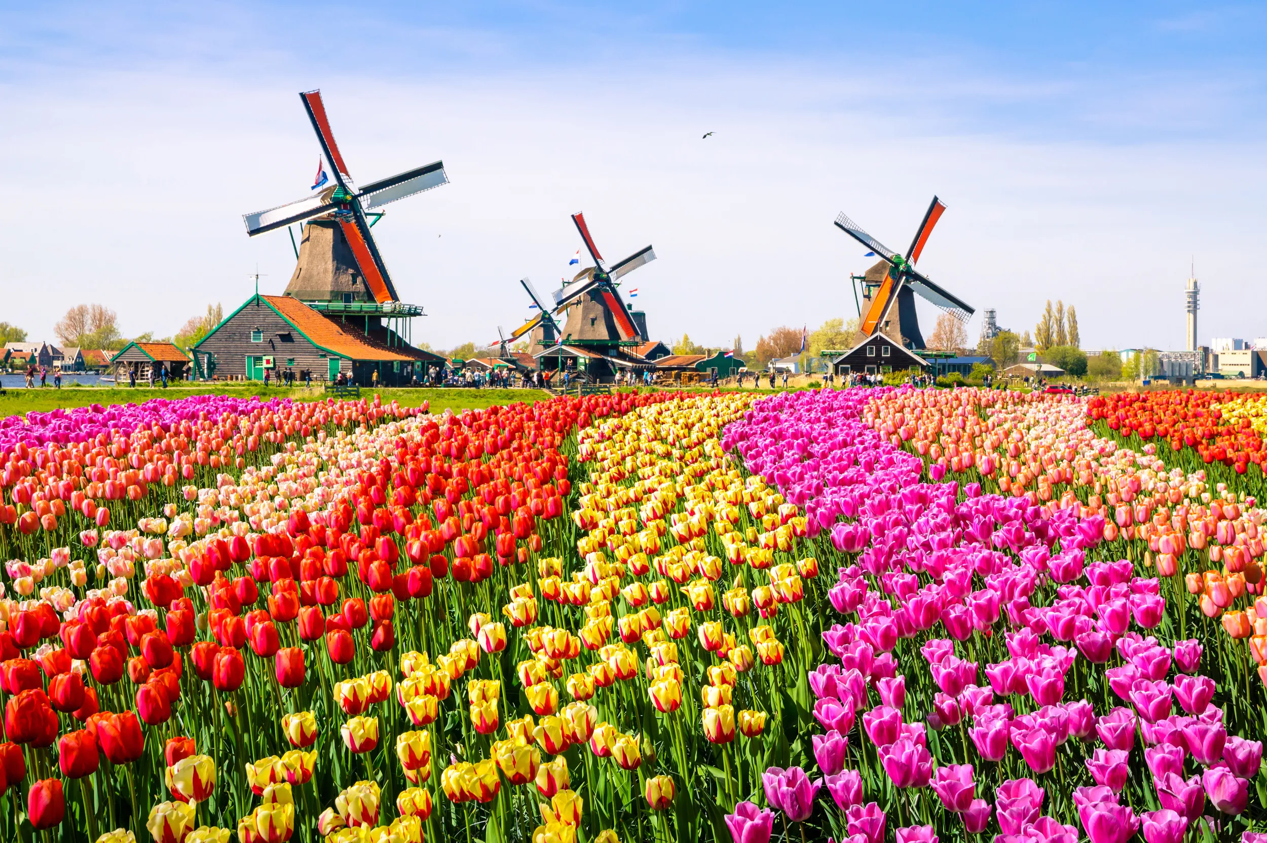 shutterstock_474434224.jpg